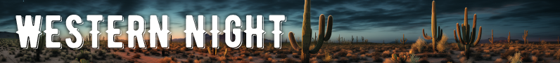 Theme Night - Western Night